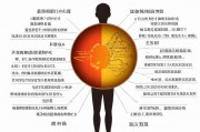 三十种交口图片表，视觉沟通的艺术与科学