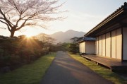 光影边缘的生存之道，从村上里沙看日本成人影片产业的现实困境