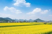 精产国品一二三产区9977，解码中国产业升级的黄金密码