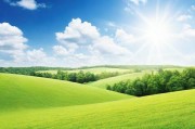 如何获取最新地址，全面指南与实用技巧