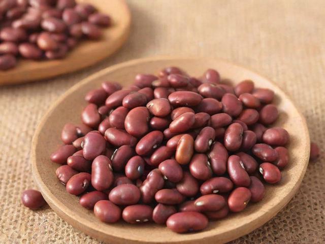 麻豆短视频APP怎么样？全面解析其功能与用户体验