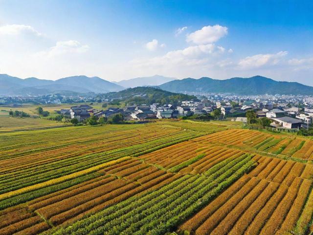 亚洲日本一线产区与二线产区的对比分析