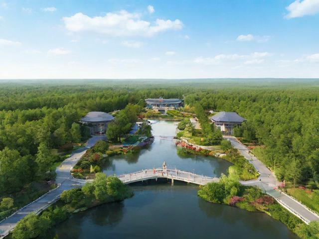伊春园2023入口直达大象，一场自然与奇幻的邂逅之旅